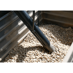 Delfin DHV 22 COMPACT